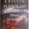 Drum in noapte &ndash; Kristin Hannah