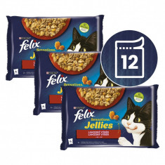 FELIX Sensations Jellies pliculețe, selecție delicioasă în gelatină 12 x 85 g