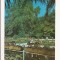 CA7 Carte Postala - Buzias, Parcul bailor , circulata 1974