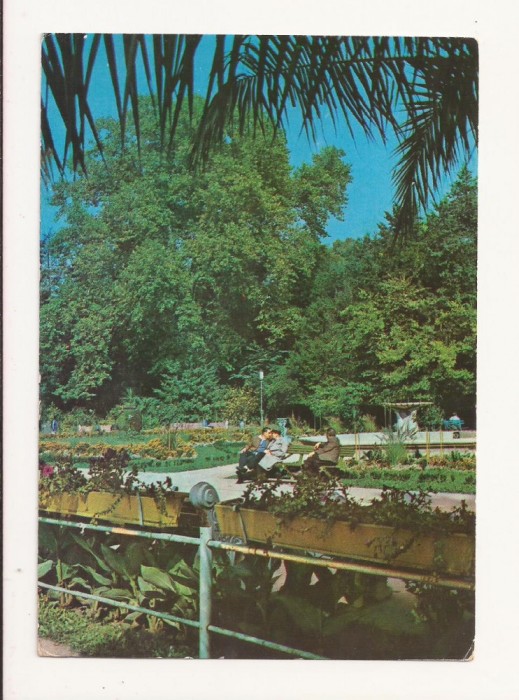 CA7 Carte Postala - Buzias, Parcul bailor , circulata 1974