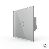 Intrerupator touch cu revenire si contact uscat Livolo, gri