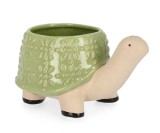 Cumpara ieftin Set 8 ghivece flori Broasca Testoasa portelan verde bej 25,2x17x13,9h