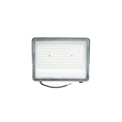 Proiector LED 100W, 220V, 6500K, IP66, 270x208x25mm OMC foto