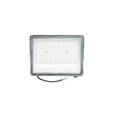 Proiector LED 100W, 220V, 6500K, IP66, 270x208x25mm OMC foto