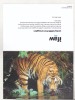 Bnk cp Fauna - Tigru - felicitare necirculata, Printata