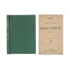 Mihai Eminescu, Geniu pustiu, 1907