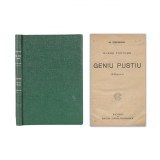 Mihai Eminescu, Geniu pustiu, 1907