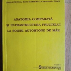 Anatomia comparata si ultrastructura fructului la soiuri autohtone de mar- Naela Costica, Boris Matienco, Constantin Toma