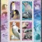 DB1 TAAF Fauna Polara Animale cu Pui 2002 MS MNH