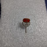 insigna CSA Liliacul Arad