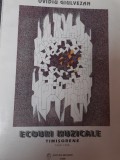 ECOURI MUZICALE TIMISORENE [1969-1996] OVIDIU GIULVEZAN