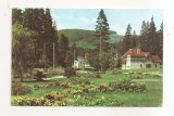 RF198 - Carte Postala - Borsec. vedere din statiune, circulata 1965