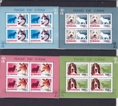 ROMANIA 2001 LP 1551 a RASE DE CAINI BLOCURI DE 4 TIMBRE MNH foto