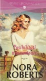 Nora Roberts - Posibilitati nenumarate