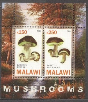 Malawi 2010 Mushrooms, perf. sheet, MNH S.118 foto