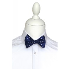 Papion barbati self tie bleumarin