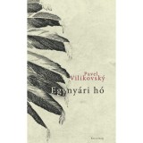 Egyny&aacute;ri h&oacute; - Pavel Vilikovsky