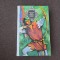 Robin Hood - Alexandre Dumas EDITIE DE LUX,CARTONATA RF5/3