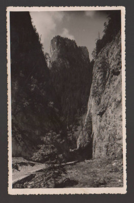 CPIB 20980 CARTE POSTALA - REGIUNEA LACULUI GHILCOS, 1923 foto