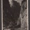 CPIB 20980 CARTE POSTALA - REGIUNEA LACULUI GHILCOS, 1923