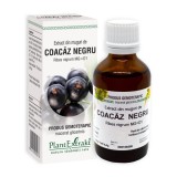 Cumpara ieftin Extract din muguri de Coacaz Negru, 50 ml, Plant Extrakt