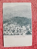 Carte postala, Sinaia, vedere de pe Piscul Cainelui, perioada interbelica