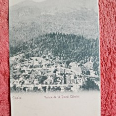Carte postala, Sinaia, vedere de pe Piscul Cainelui, perioada interbelica