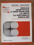 Analiza asimptotica a unor probleme la limita cu perturbatii singulare- Luminita Barbu, Gheorghe Morosanu