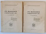 PE MARGINEA PRAPASTIEI , 21 - 23 ianuarie, vol I - II, 1941 , PREZINTA URME DE UZURA