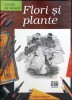 Flori si Plante. Lectia de Desen - Mary Seymour, Allfa 2005, Album Arta, Romana, 46 pagini