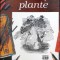 FLORI SI PLANTE. LECTIA DE DESEN-MARY SEYMOUR-261755