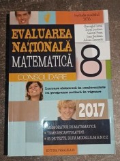 Matematica pentru clasa a 8-a - Gheorghe Iurea, Dorel Luchian 2017