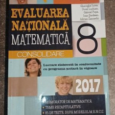 Matematica pentru clasa a 8-a - Gheorghe Iurea, Dorel Luchian 2017