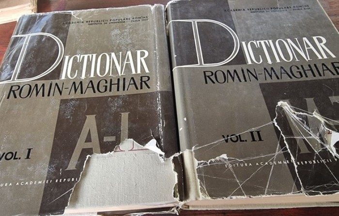 Dictionar Roman-Maghiar Vol. I si II
