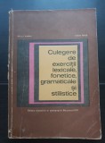 Culegere de exerciții lexicale, fonetice, gramaticale și stilistice - Mihail Andrei, Iulian Ghiță