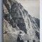 Bucegii. Turism-Alpinism &ndash; Em. Cristea, N. Dimitriu