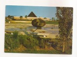 FA112 -Carte Postala- FRANTA - Balaruc Les Bains ( Herault ) , circulata 1977