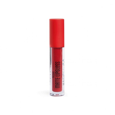 Ruj Lichid rezistent la apa, Matte Passion, Nr. 03, Rouge Perfect, Magic Studio foto