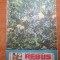 revista rebus 1 aprilie 1988 - revista de divertisment