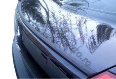 Eleron portbagaj Renault Megane