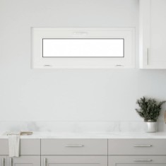 vidaXL Fereastră de subsol RISOR 100x40 cm &icirc;nclinat 2 geamuri Antracit
