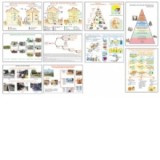 Planse educatie tehnologica pentru clasele V-VIII. Set 12 planse