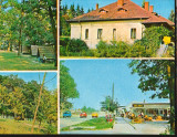 CPI B12486 CARTE POSTALA - VANATORI NEAMT, Necirculata, Fotografie