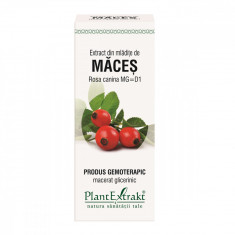 Extract din mladite de maces, 50ml, Plant Extract