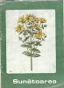 Sunatoarea - A. Agopian Editie Veche 1972 Carti Rare BPT