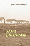 Satul blestemat - Paperback brosat - Dimitrie Bejan - Ileana