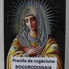 PRAVILA DE RUGACIUNE , BOGORODISNAIA , SCRIS MARE , 2024