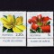 ✅RO 2020 , LP 2310 ,&quot;Flori de iarna&quot; , serie+tabs ,MNH