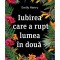 Iubirea Care A Rupt Lumea In Doua, Emily Henry - Editura Art