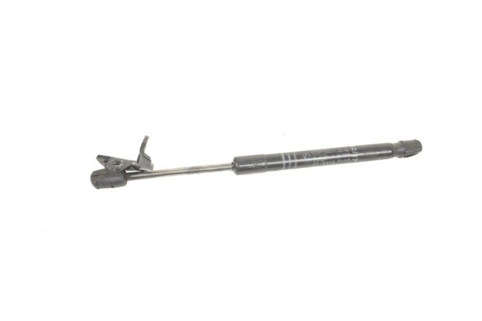 Amortizor capota st&acirc;nga față BMW 6 Coupe F13 2012 OEM: 7309117 12640538